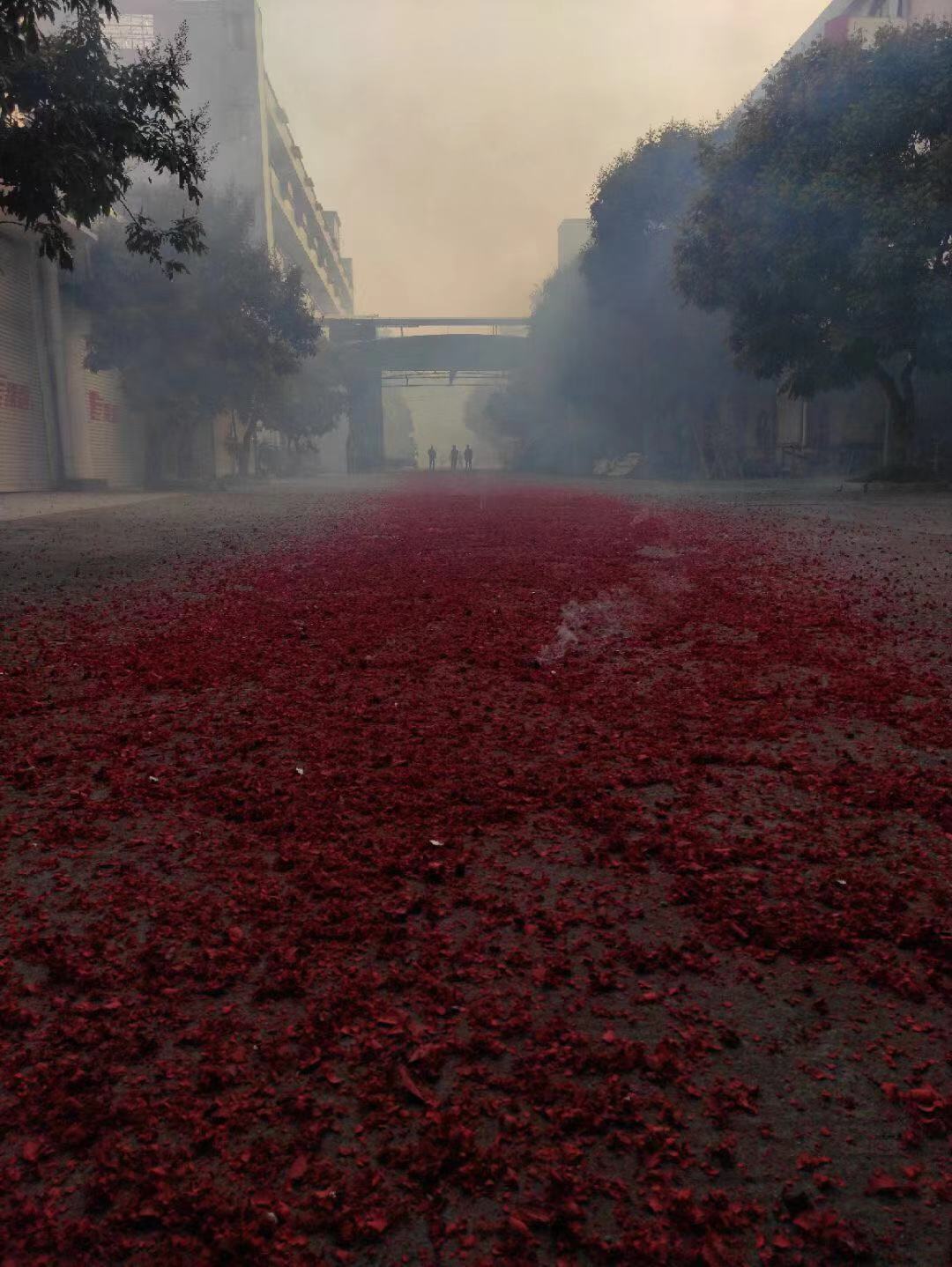 草莓视频免费看污下载厨具