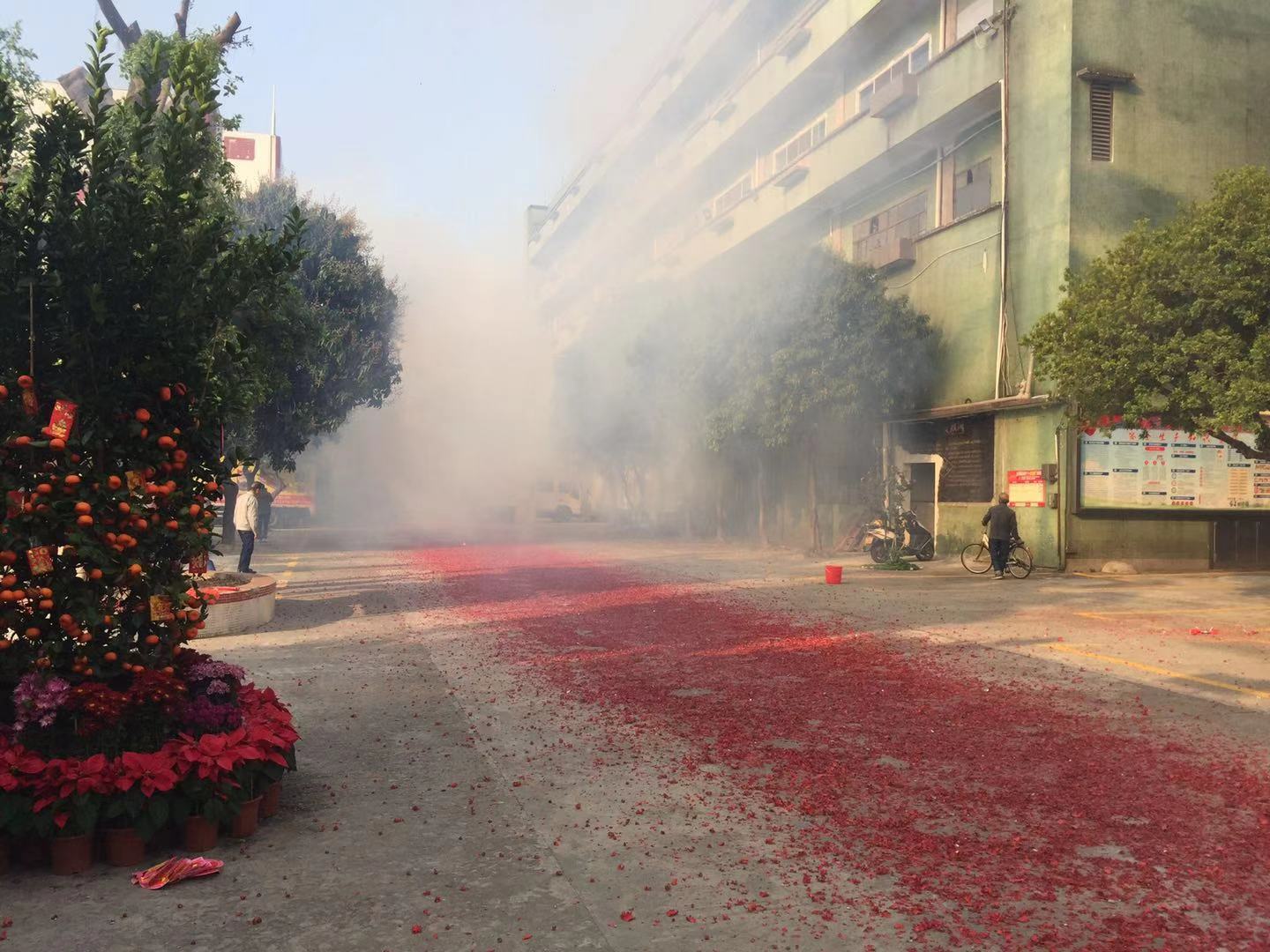 草莓视频免费看污下载厨具