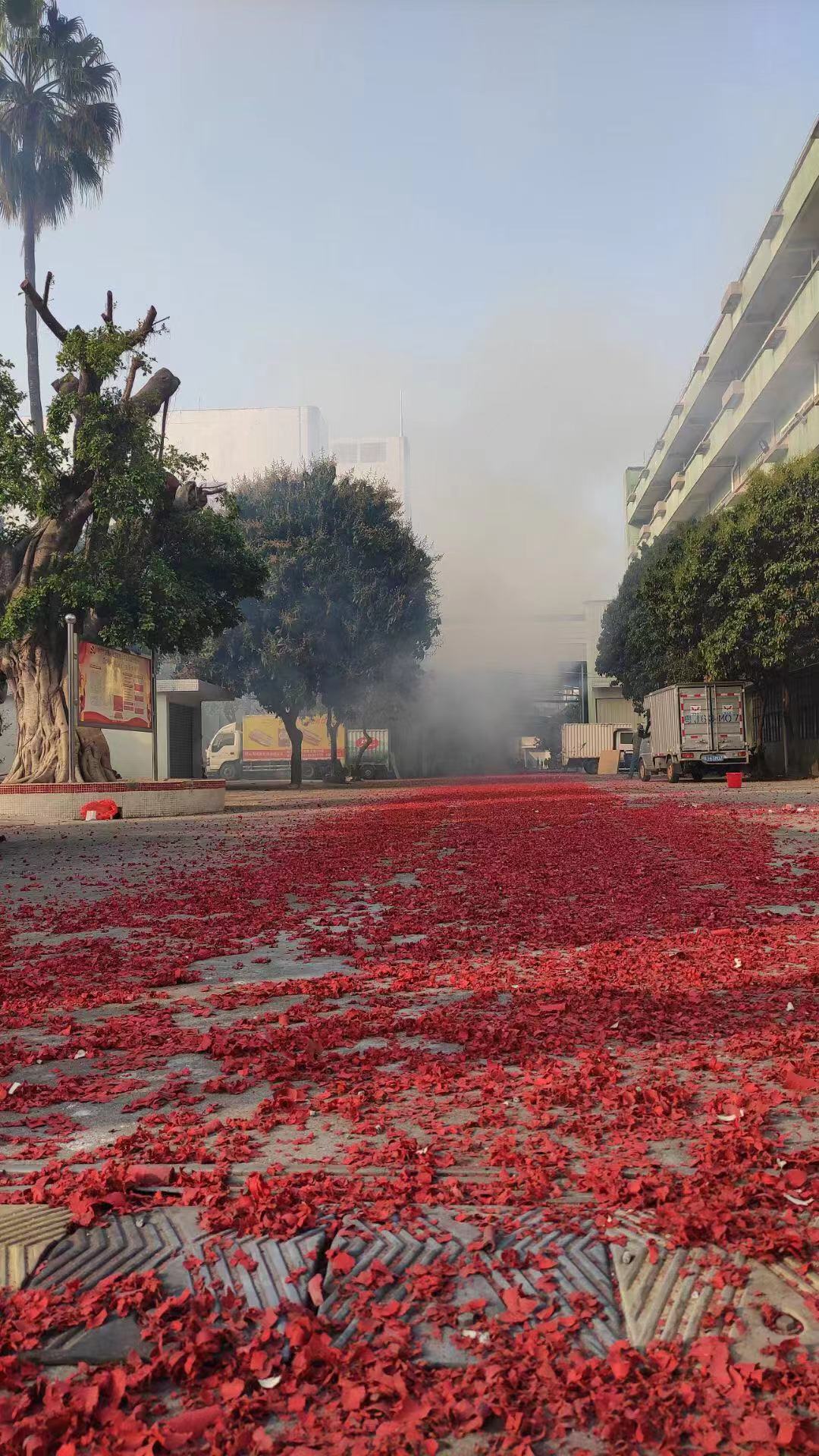 草莓视频免费看污下载厨具